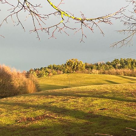 Apartmán Kleine Backsteinloft Templin Exteriér fotografie